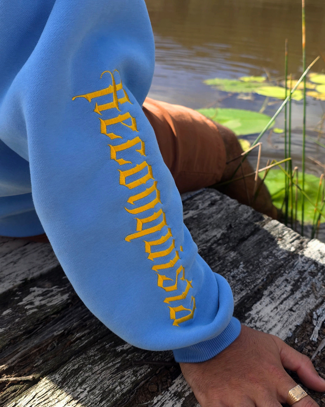 Reconquista Hoodie (PRE-ORDER)